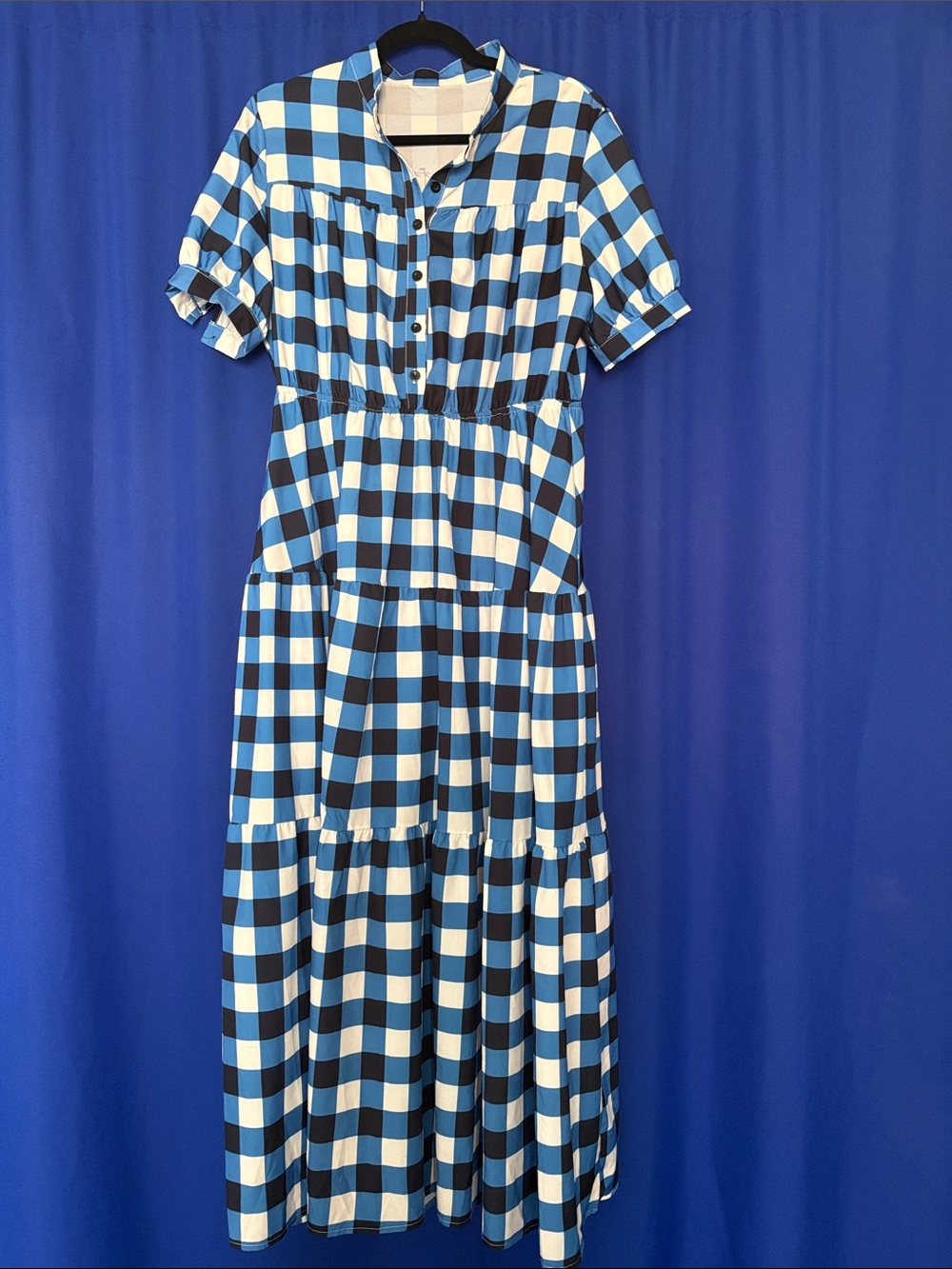 Blue and White Gingham Button-Front Maxi Dress